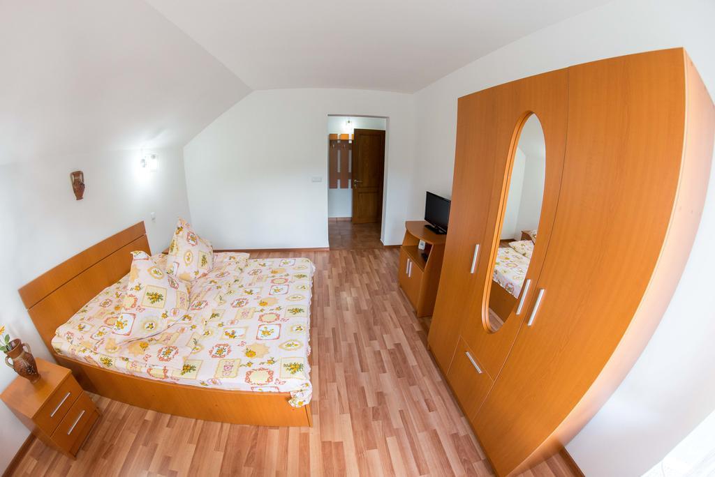 Casa Andreea Hotel Sucevita Exterior photo